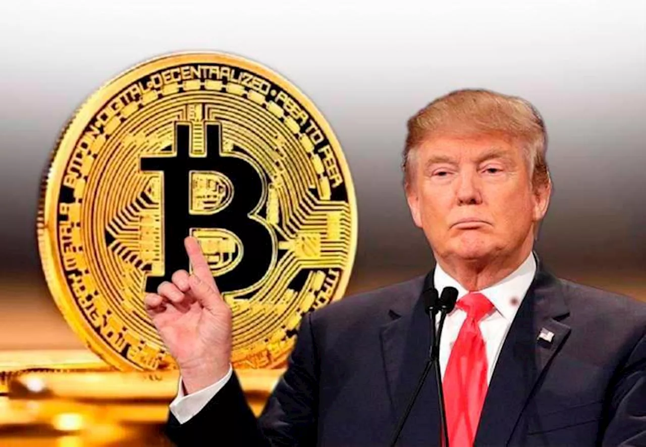 Bitcoin se asoma a los 100.000 dólares gracias al apoyo de Trump a las criptomonedas