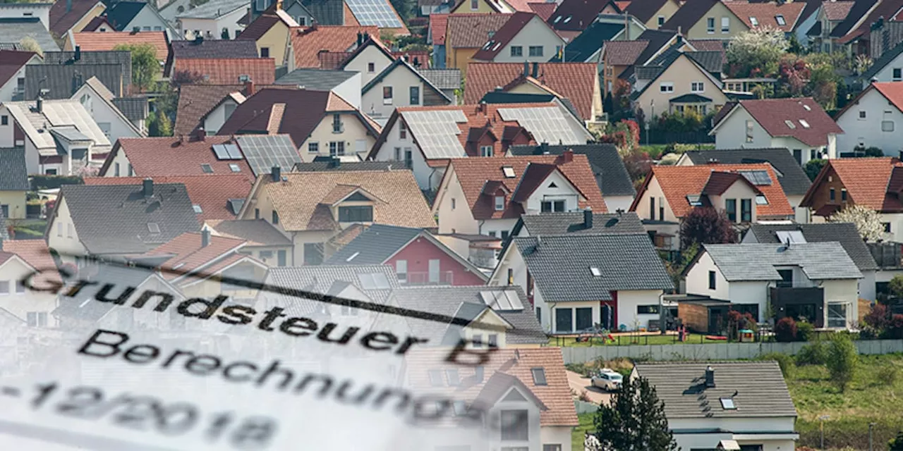 Grundsteuer-Chaos: Brüder teilen sich Grundstück und erleben Steuer-Schock