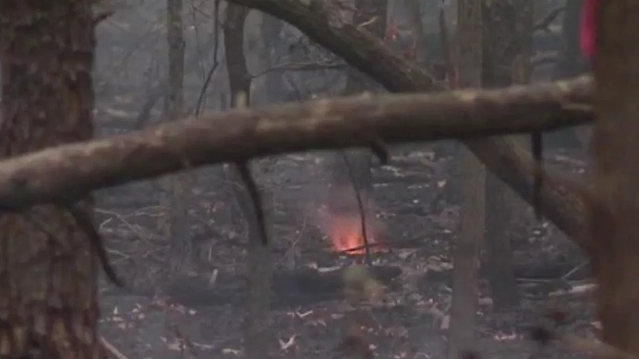 Big Rusty Wildfire contained as much-needed rainfall heads to New Jersey