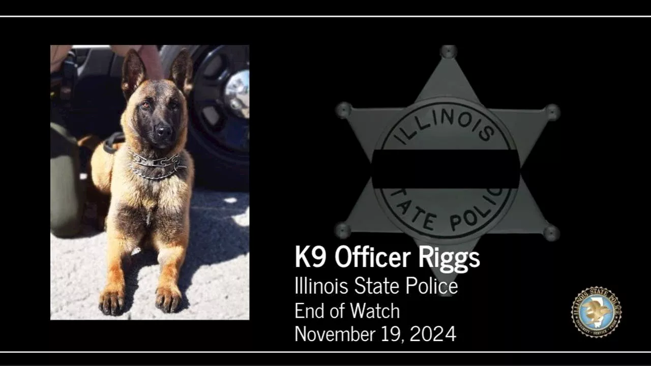 Illinois State Police K9 Officer Riggs dies after cardiac event