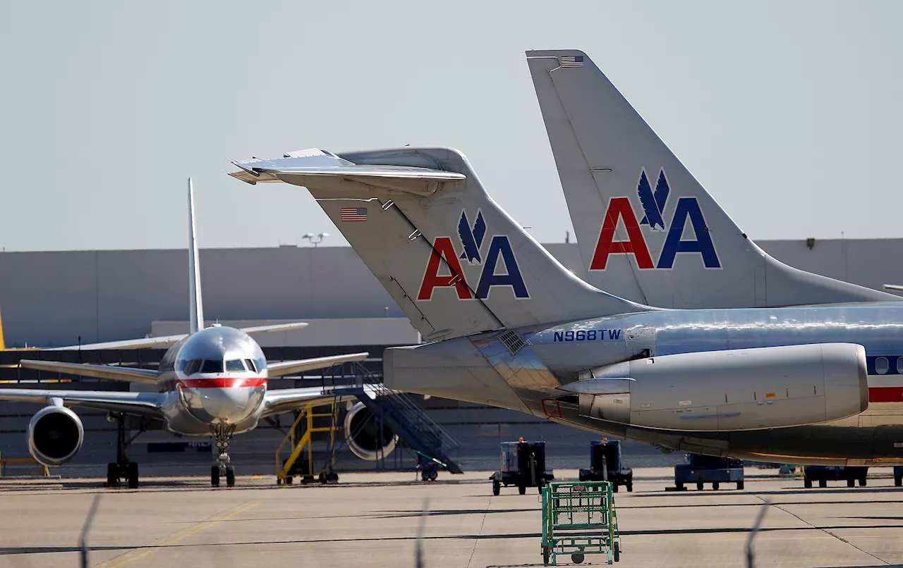 American Airlines passengers duct tape man who allegedly tried to open cabin door mid-flight: reports