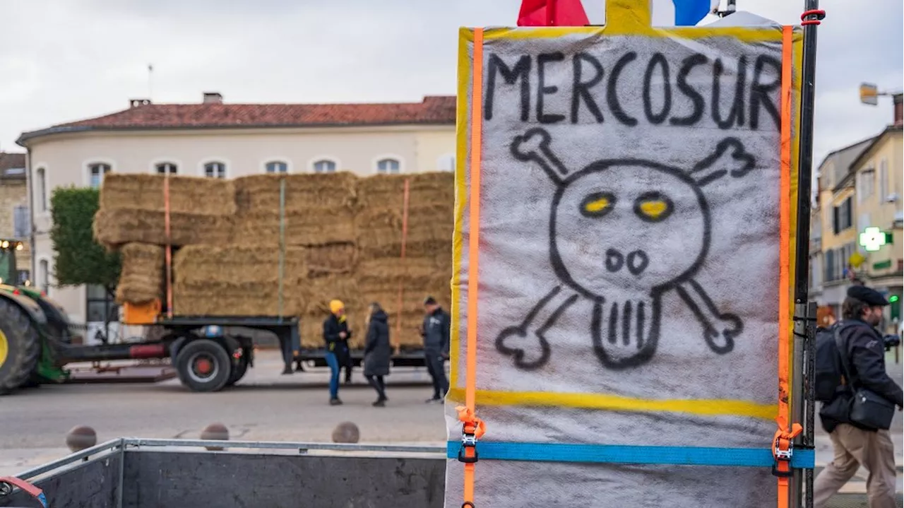 VRAI OU FAUX. Colère des agriculteurs : on a vérifié sept affirmations sur l'accord de libre-échange UE-Mercos