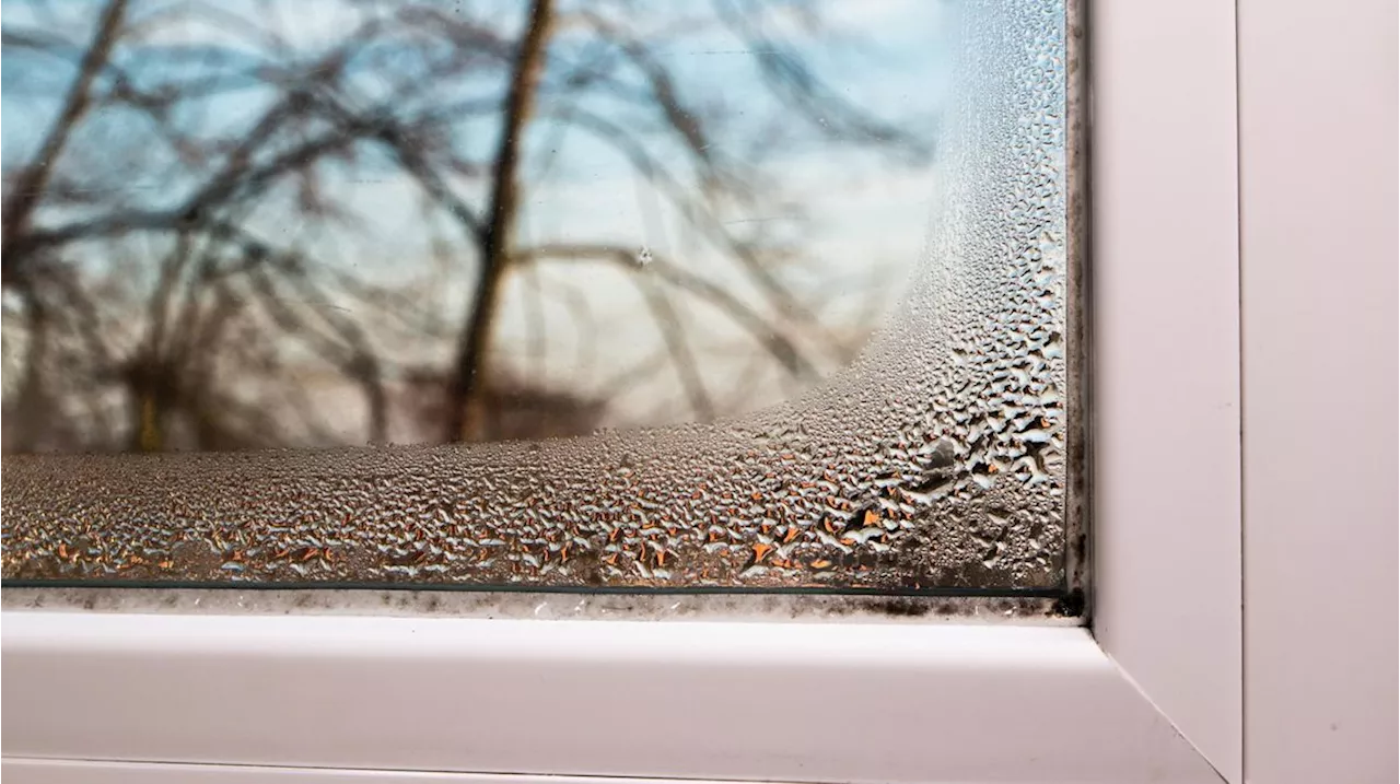 Nasse Fenster am Morgen: Das solltest du gegen Kondenswasser am Fenster tun