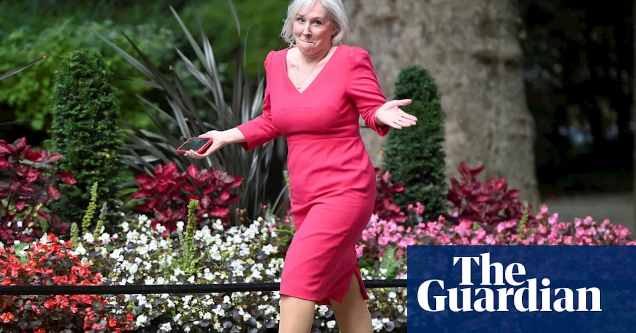 Downfall by Nadine Dorries review – wild wild Westminster