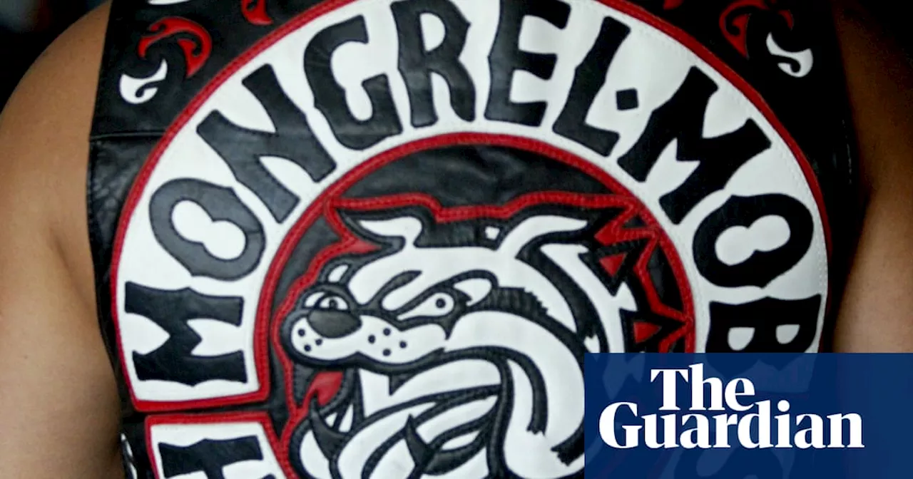 First arrest as New Zealand ban on displaying gang patches comes into force