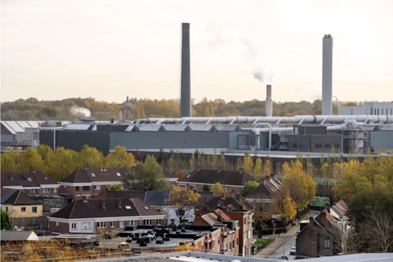 Jongeren in de buurt van Umicore in Hoboken hebben meer metalen in hun lichaam