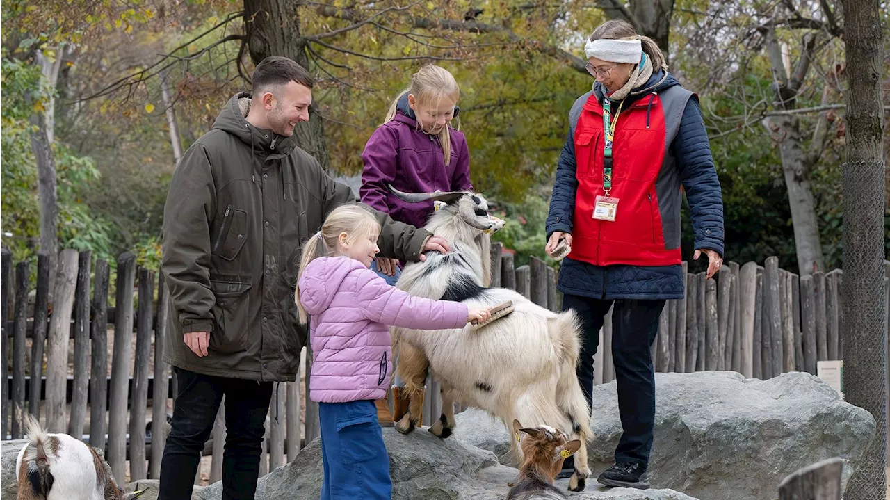 Ehrenamtliche Helfer gesucht - Du kannst im Tiergarten Schönbrunn jetzt mit anpacken