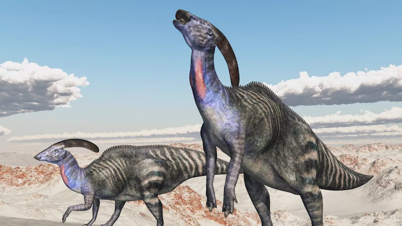 Scientists recreate dinosaur calls by modeling Duck-billed dinosaur’s crest