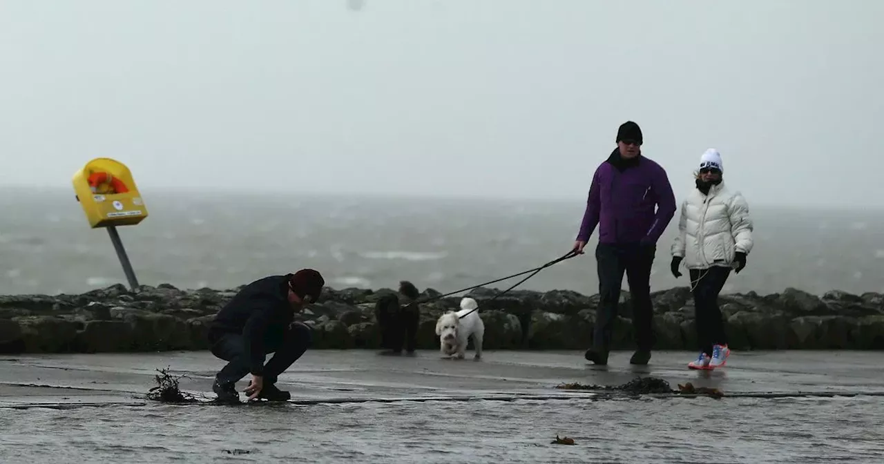 Met Eireann issues Status Orange warning to three counties ahead of Storm Bert