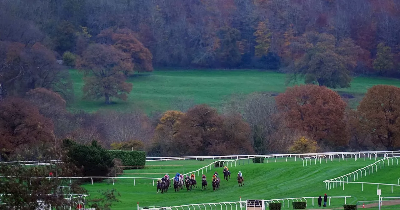 BHA says ‘no causal link’ found between Cheltenham fatalities