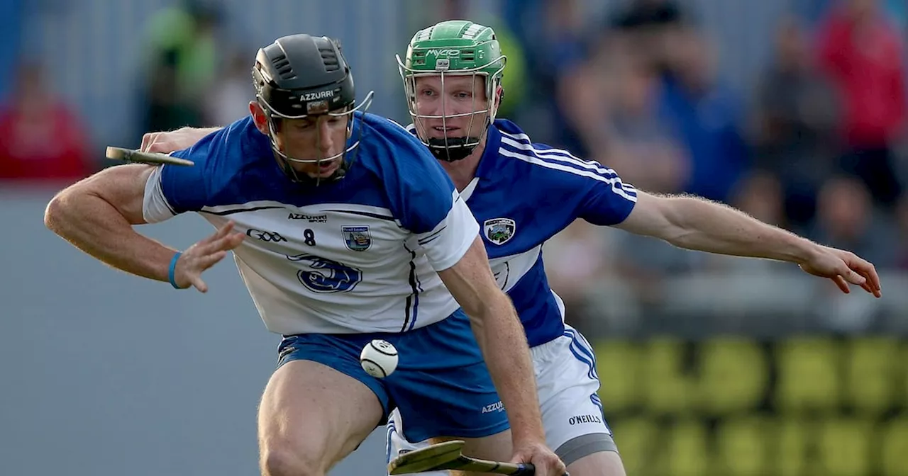 Tommy Fitzgerald to succeed Darren Gleeson as Laois senior hurling manager