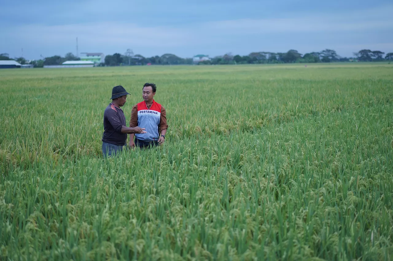 Bertambah Lagi, Desa Energi Berdikari Pertamina Hadir di Indramayu