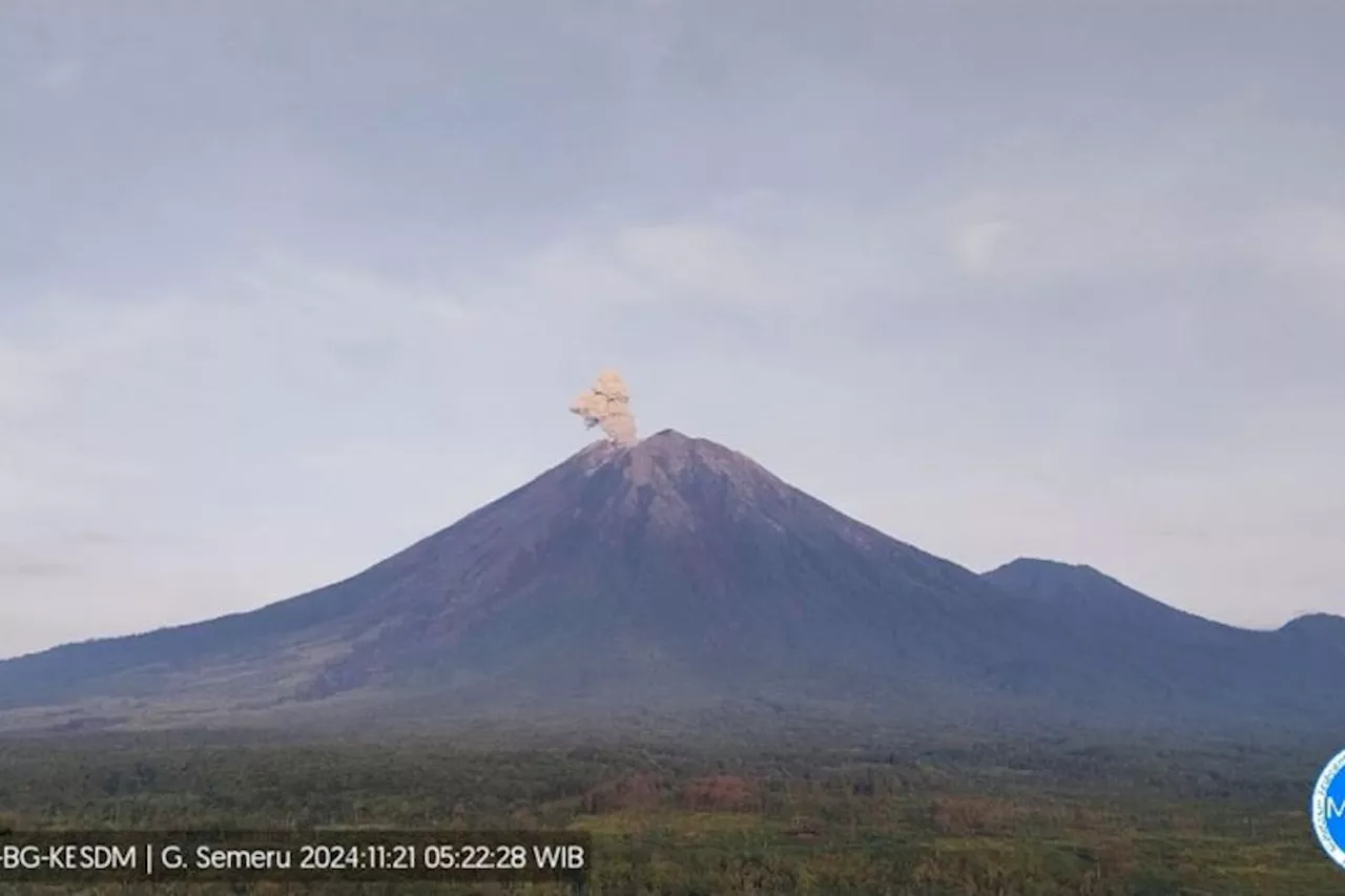 Masih Berstatus Waspada, Gunung Semeru Erupsi Lagi dengan Letusan Setinggi 800 meter