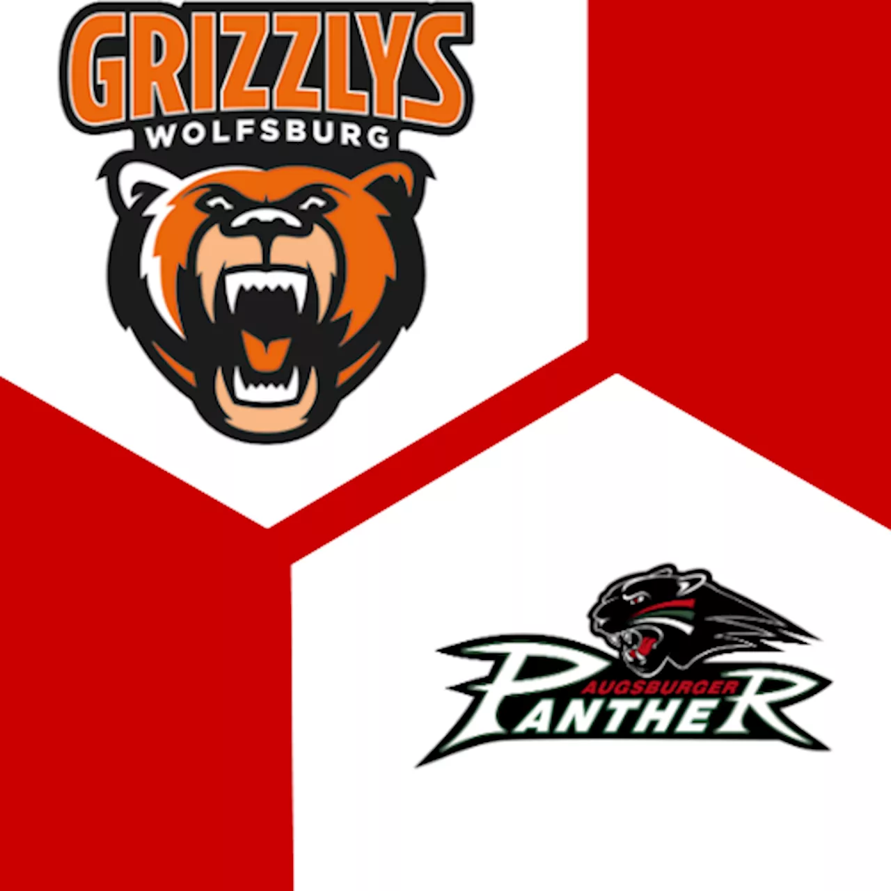 Augsburger Panther 1:1 | 18. Spieltag | Deutsche Eishockey-Liga 2024/25