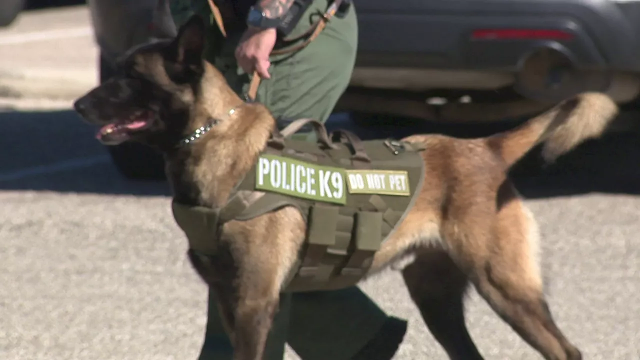 Southwest ISD welcomes first K9 to district’s police force