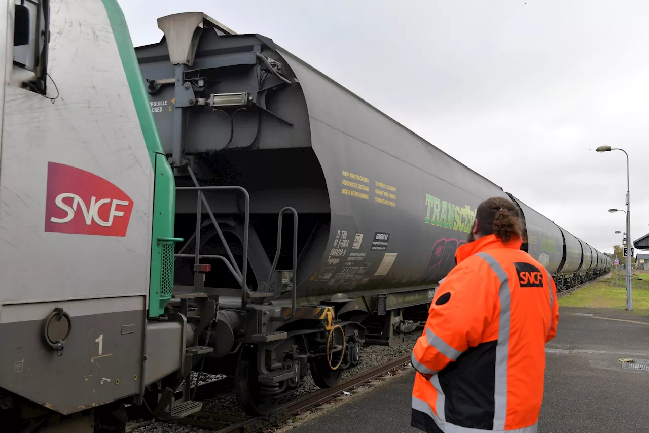 Grève SNCF: le mouvement pour Fret SNCF modérément suivi dans l'ensemble du groupe