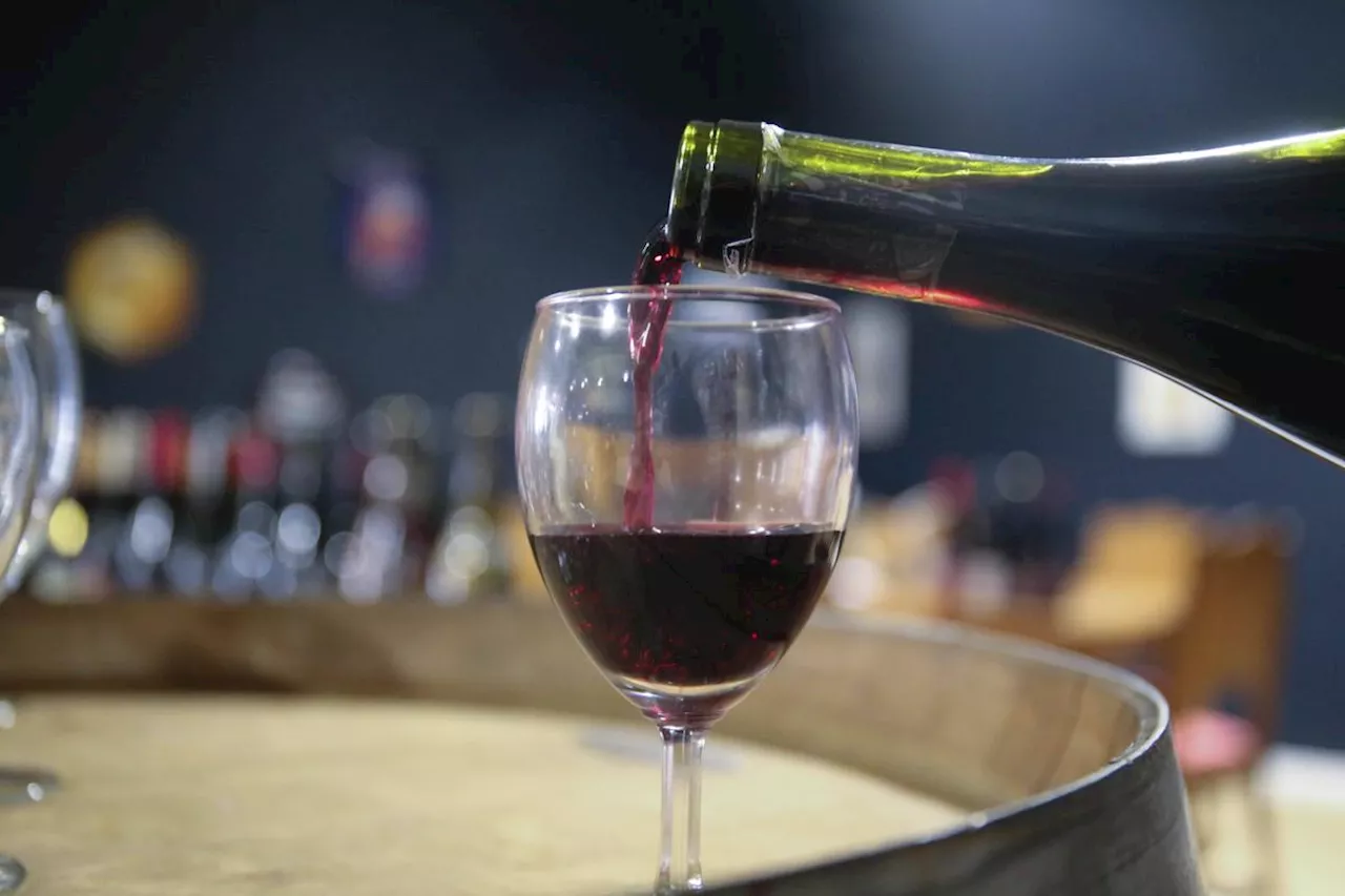 Beaujolais nouveau 2024 : notre sélection de huit bouteilles de ce célèbre vin rouge qui se réinvente