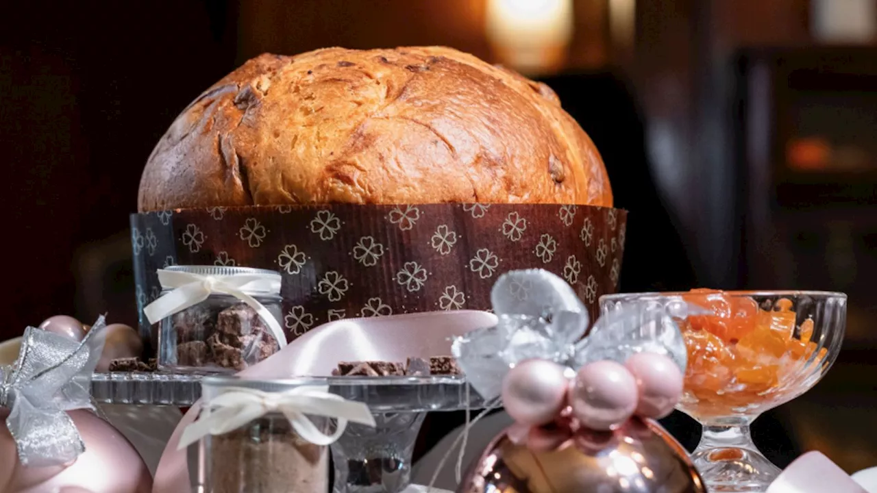 PanCricrì, nel Torinese nasce il primo panettone a base di farina di grillo