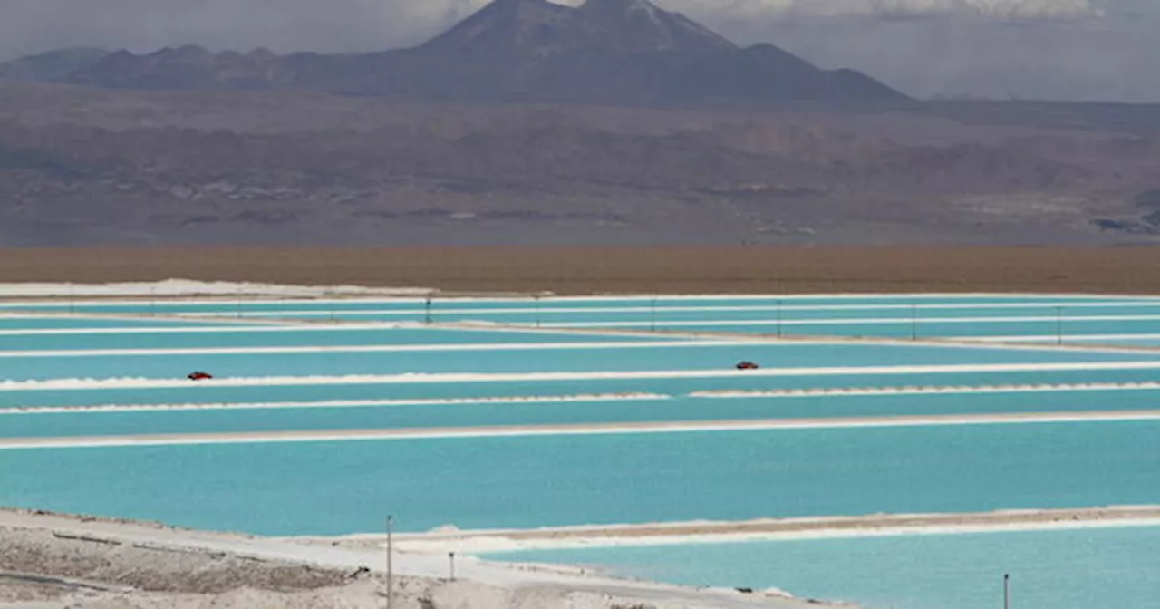 SQM's net income down 73% on lithium price slump