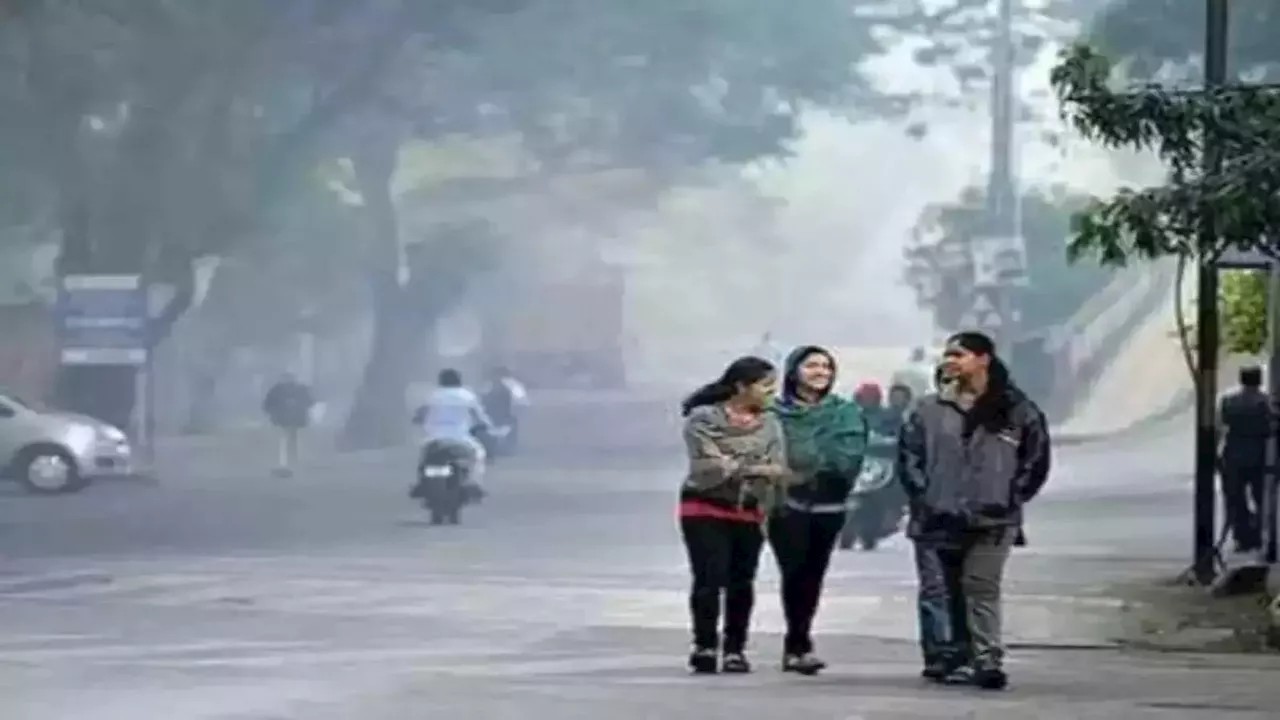 MP Weather Update: एमपी में के इन 5 जिलों में कड़ाके की ठंड के साथ छाया रहेगा कोहरा, मौसम विभाग ने जारी किया अलर्ट