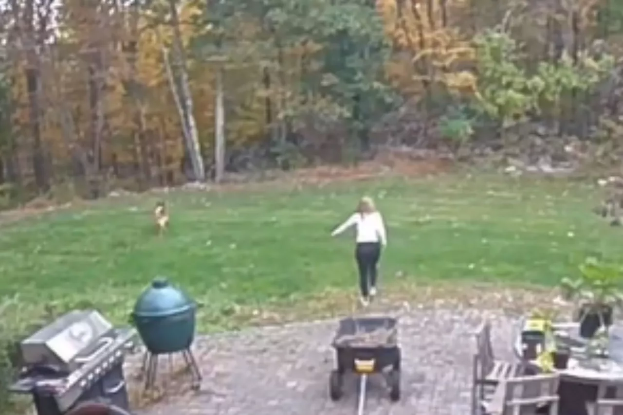 Moment Woman's Quick Thinking After Hearing Coyotes in Yard Saves Her Dog