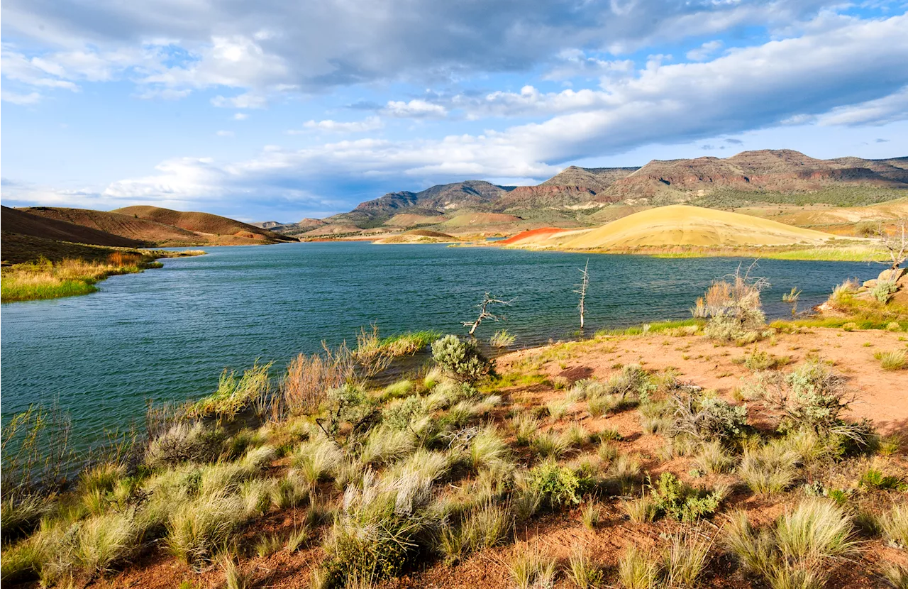 Oregon's Volcanic Rocks Could Unlock Major Carbon Storage Potential