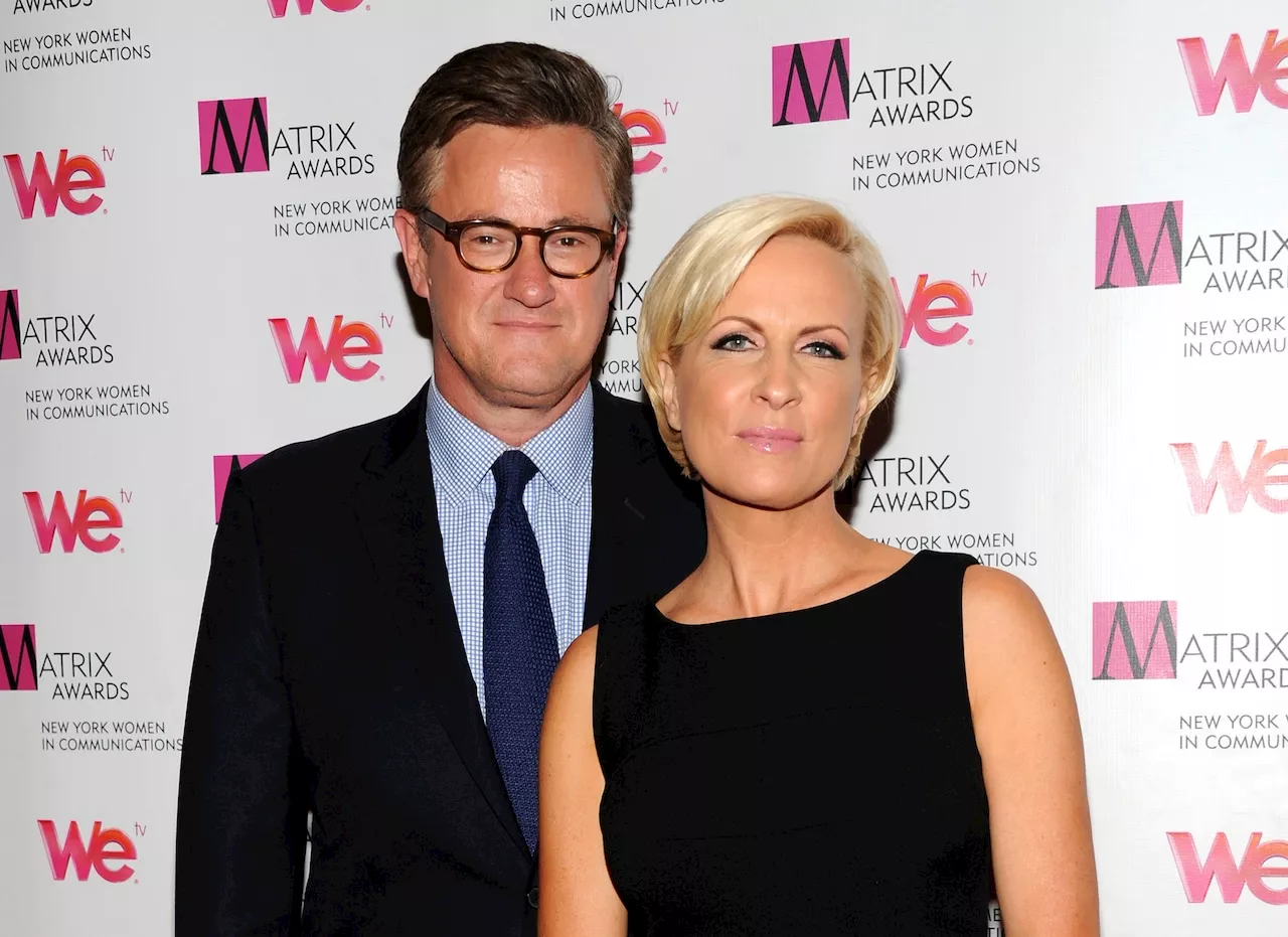 MSNBC’s Joe and Mika owe me an apology, Trump conspiracy theorist says