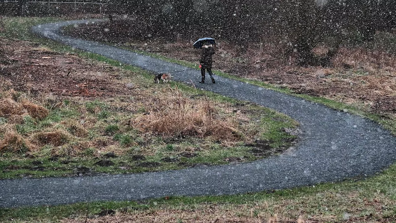 Rheinland-Pfalz & Saarland: Regen und Glätte in Rheinland-Pfalz und im Saarland