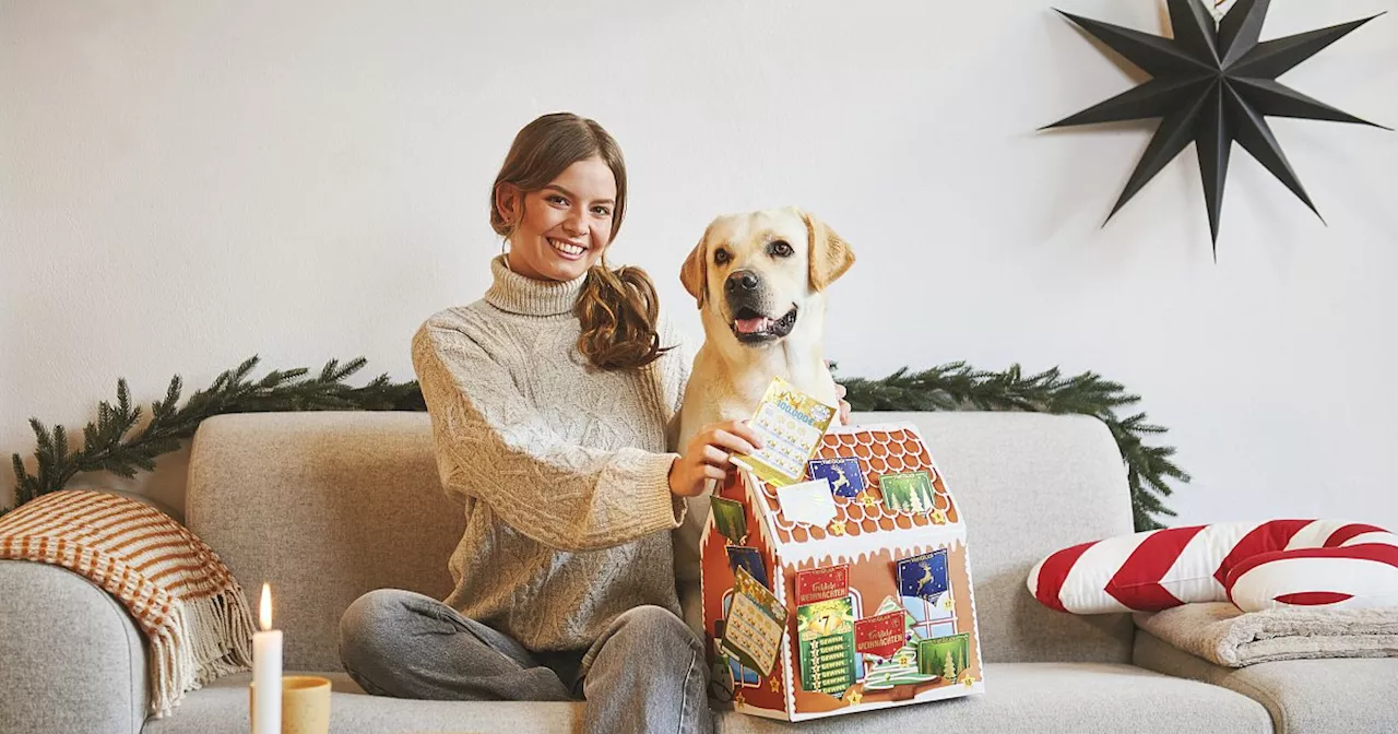 Rubbel-Adventskalender vorbestellen