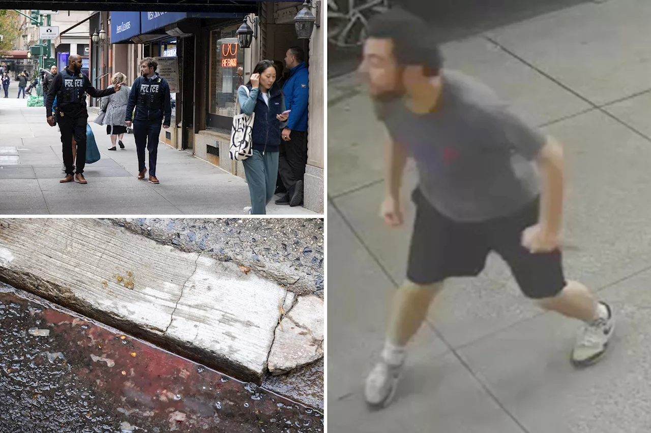 Mom turns in son to NYPD after she spots he's wanted for deranged attack on tourist: sources