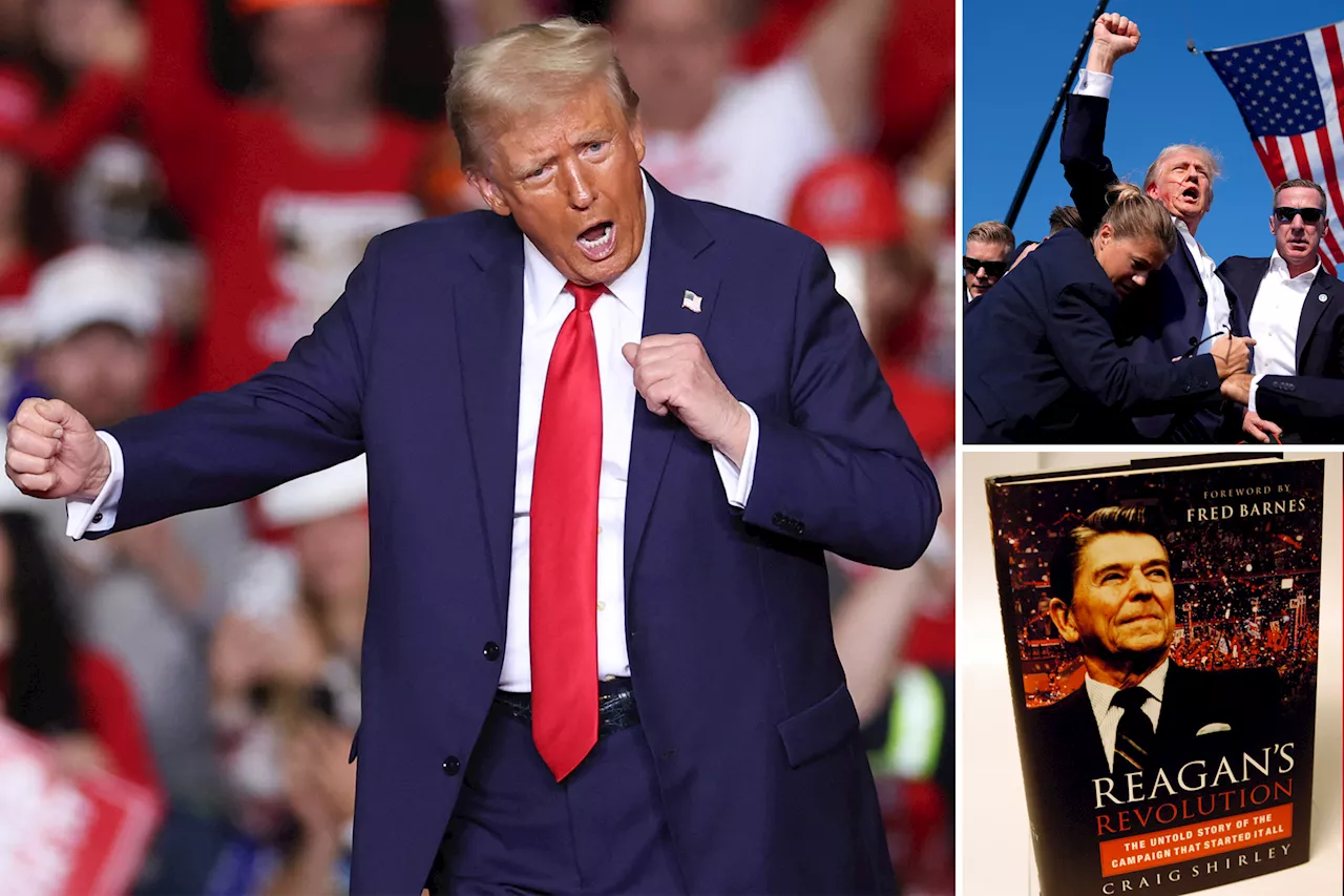 Ronald Reagan biographer to pen 'Comeback' book on Donald Trump's stunning political revival