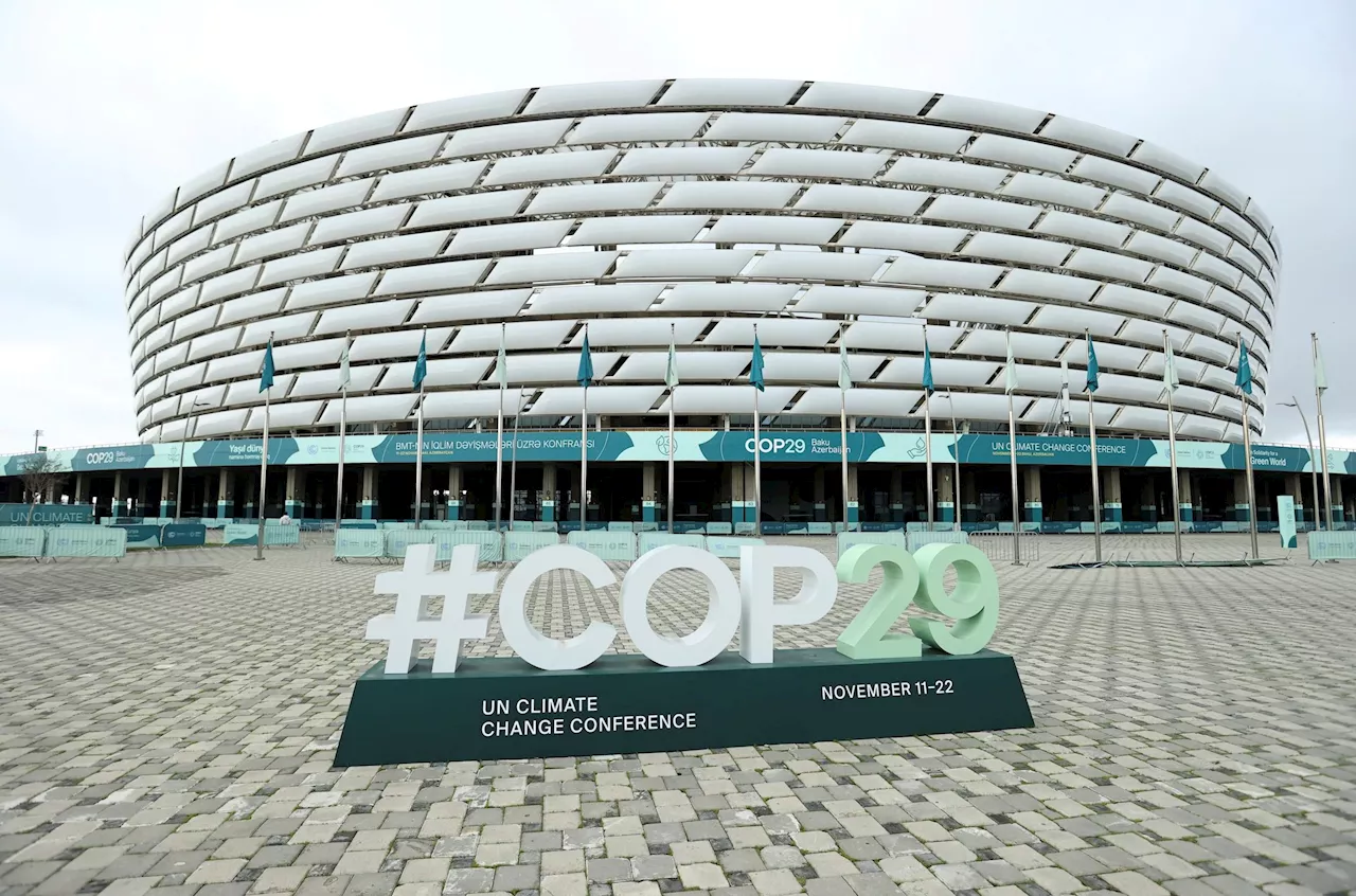 COP29 in Baku, Azerbaijan: Explainers, deals, talks, analyses