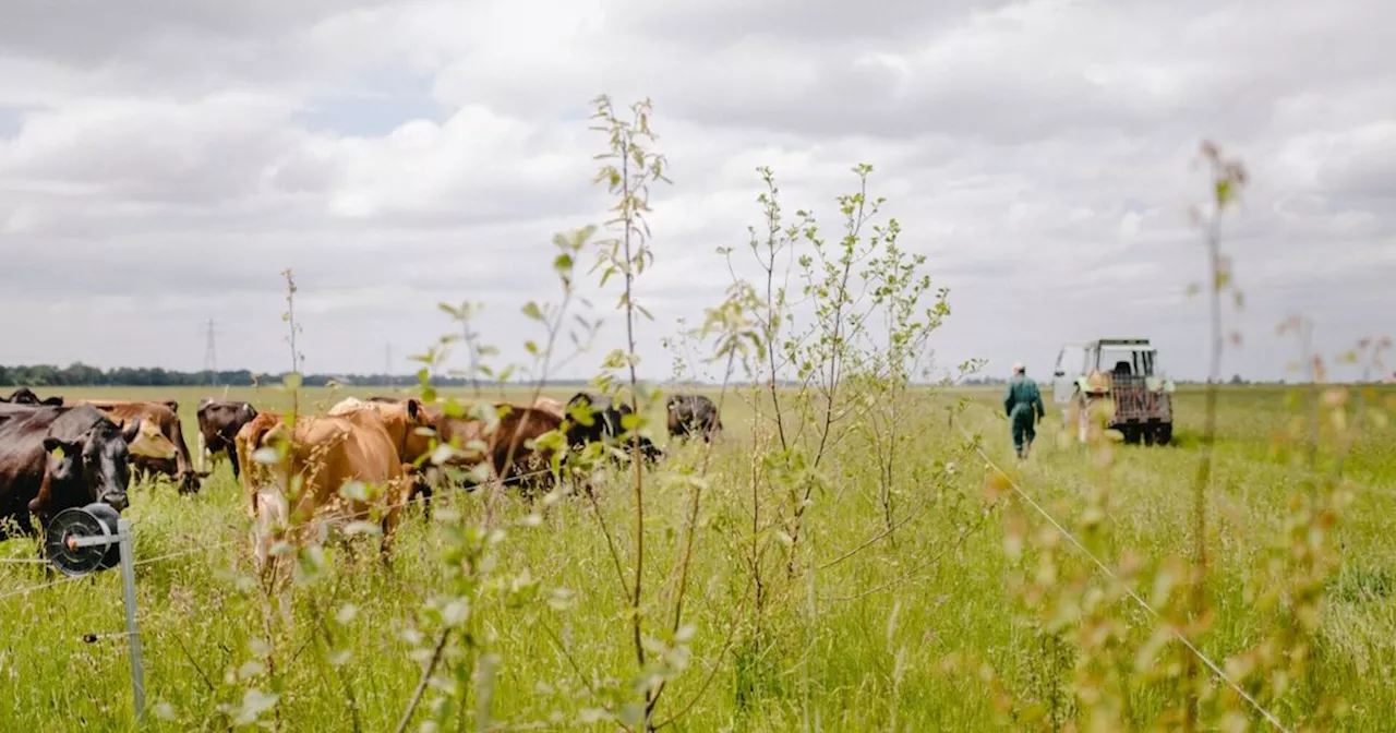 Staatsbosbeheer stelt grond beschikbaar voor natuurinclusieve boeren