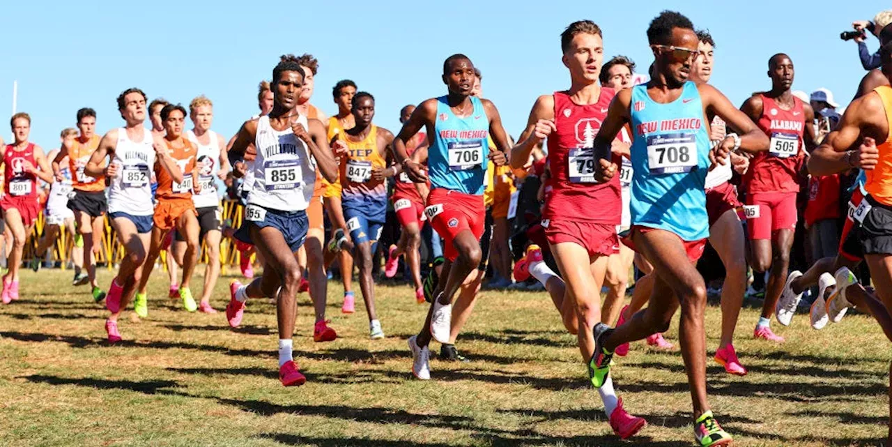 How to Watch the 2024 NCAA CrossCountry Championships News