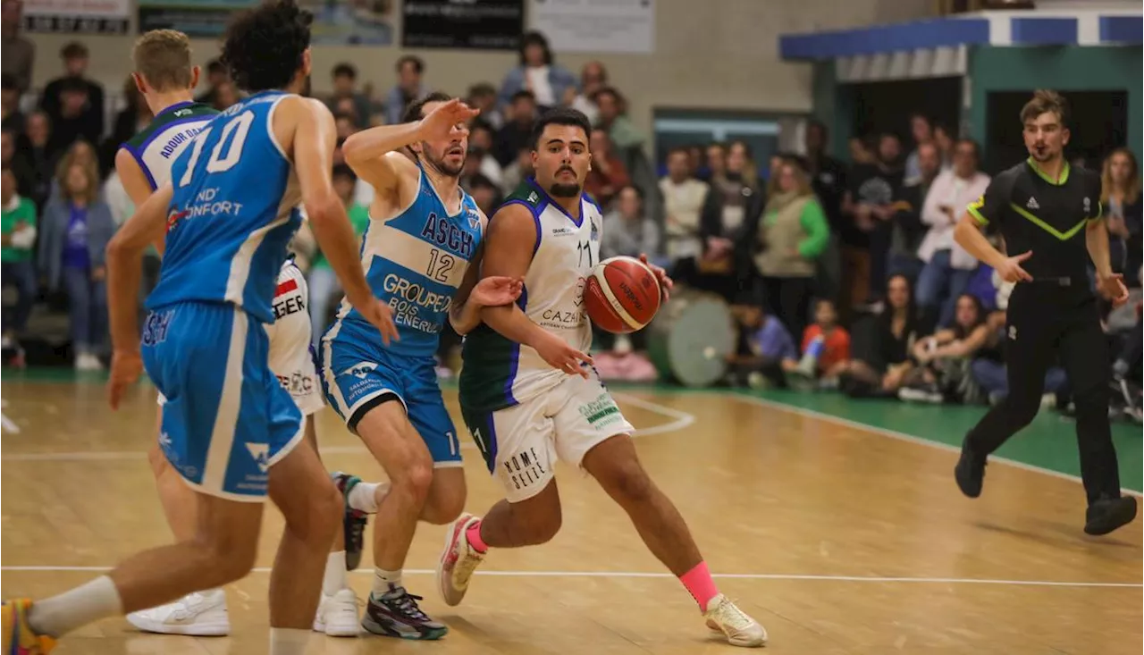 Basket-ball : l’Adour Dax à la découverte du Trophée Coupe de France