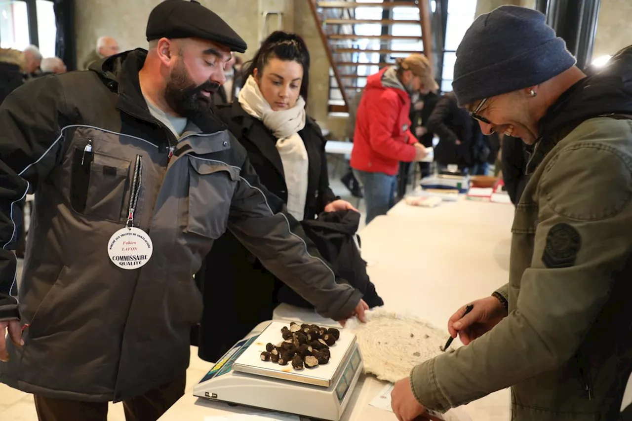 Dordogne : on connaît la date d’ouverture du marché aux truffes de Sainte-Alvère