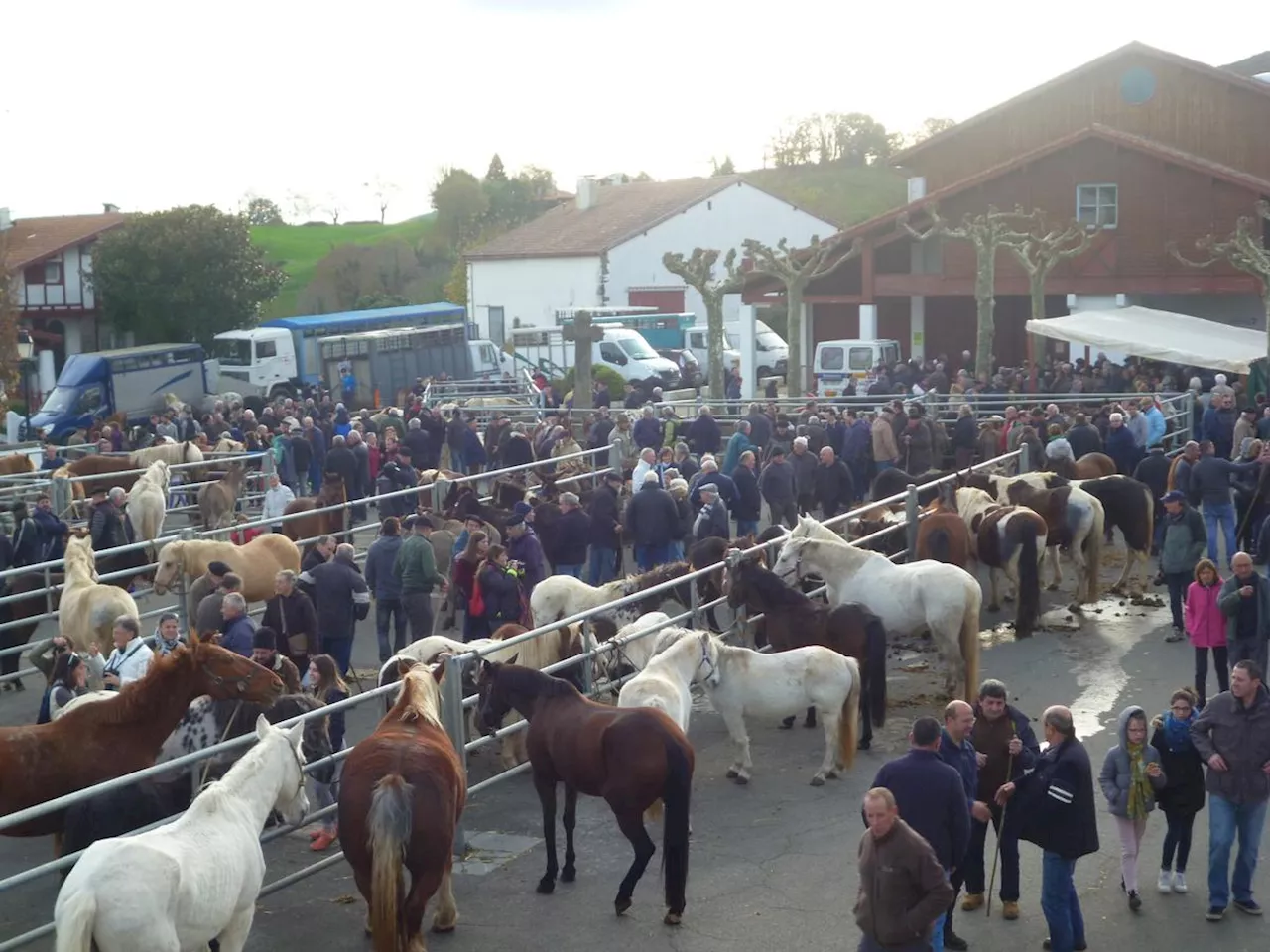 Hélette : la foire de Santa Katalina, toujours là et toujours incontournable