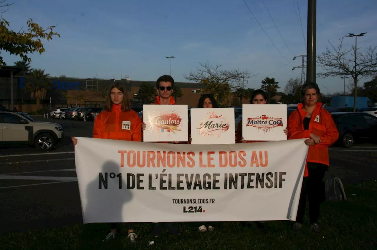 Mazères-Lezons : l’association L214 mobilisée contre l’élevage intensif des poulets