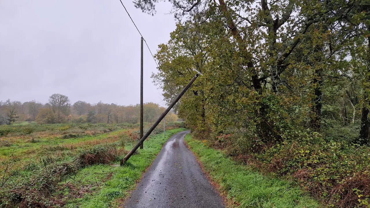 Tempête Caetano : arbres sur la route, fils électriques arrachés… Quelles perturbations en Dordogne ?