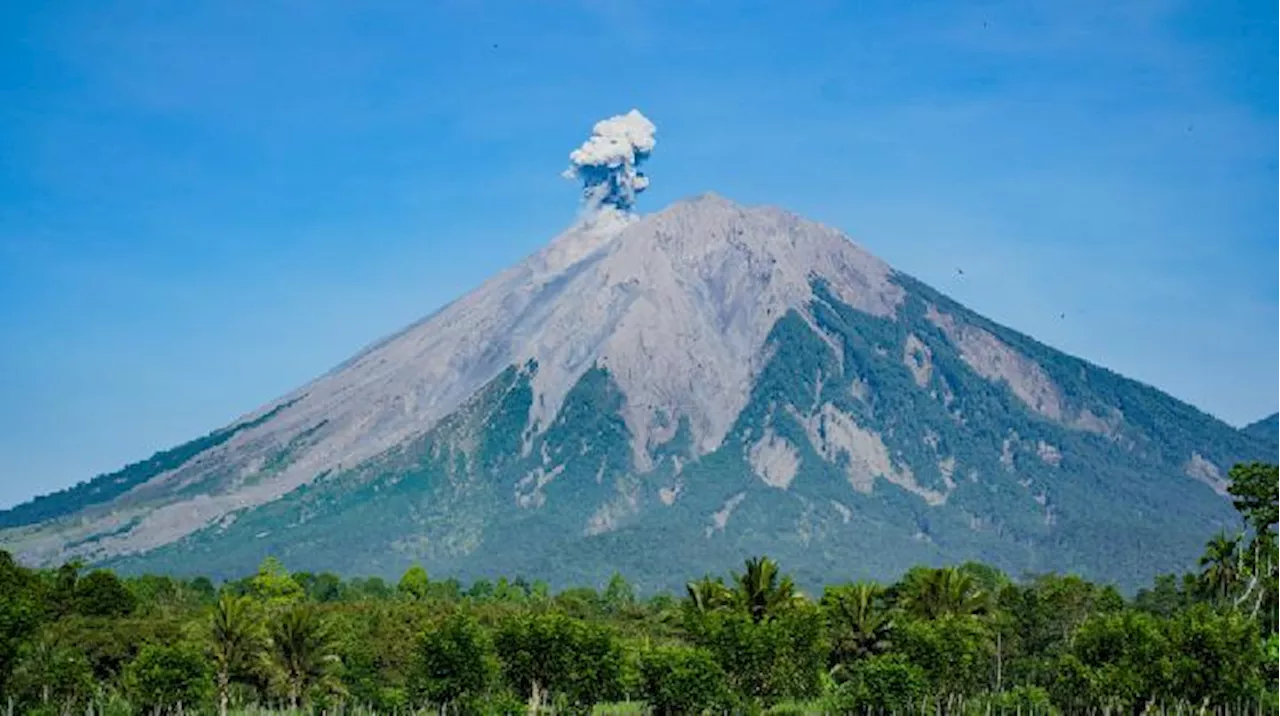 Gunung Semeru Erupsi, Tinggi Letusan 800 Meter