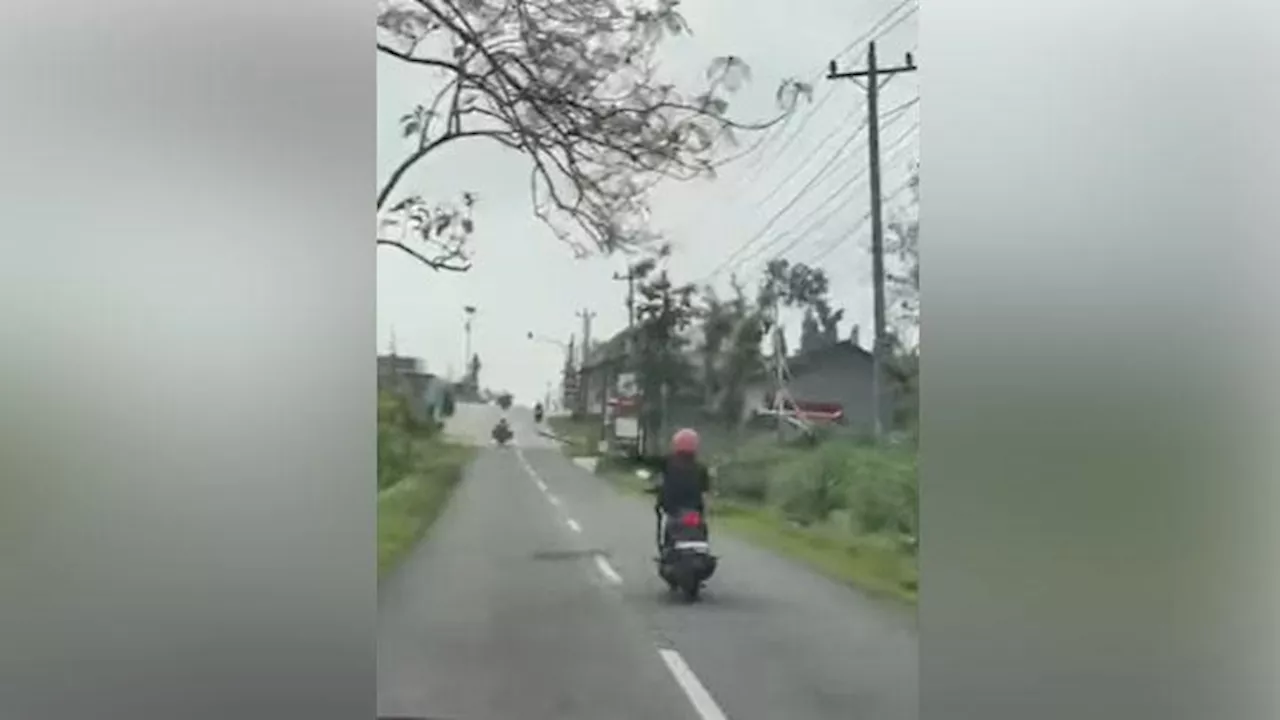 Musim Ulat Pohon Jati di Gunungkidul Yogyakarta, Ini Imbauan bagi Wisatawan