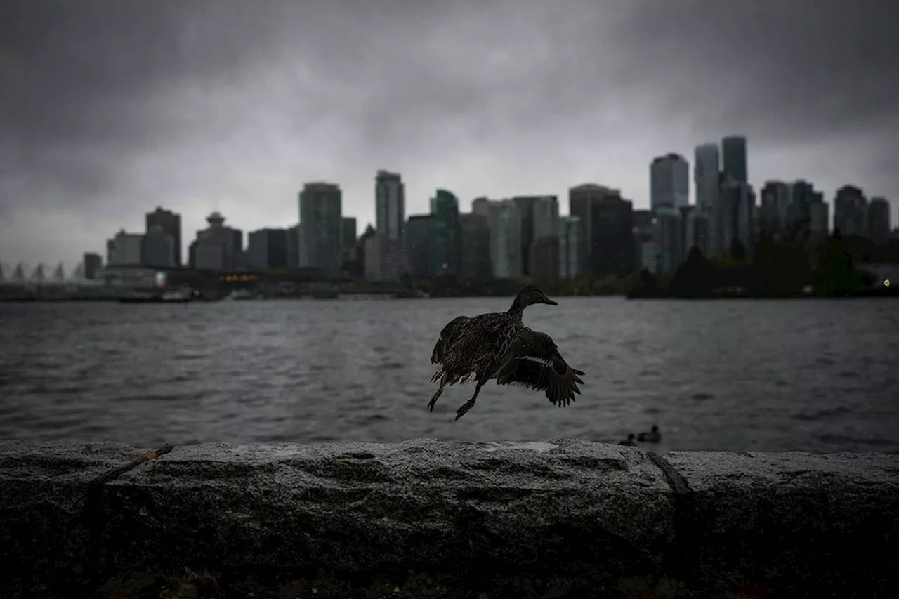 Trees snapping ‘like gunshots’: B.C. witness recounts bomb cyclone’s impact