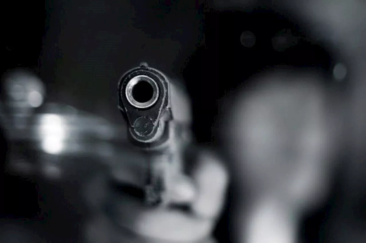 Gun in the toilet: One arrested in Tshwane police takedown