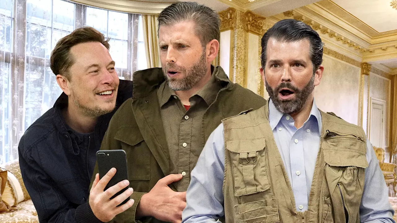 Trump Boys Get Weird Feeling After Uncle Elon Shows Them Busty Anime Cat Girl