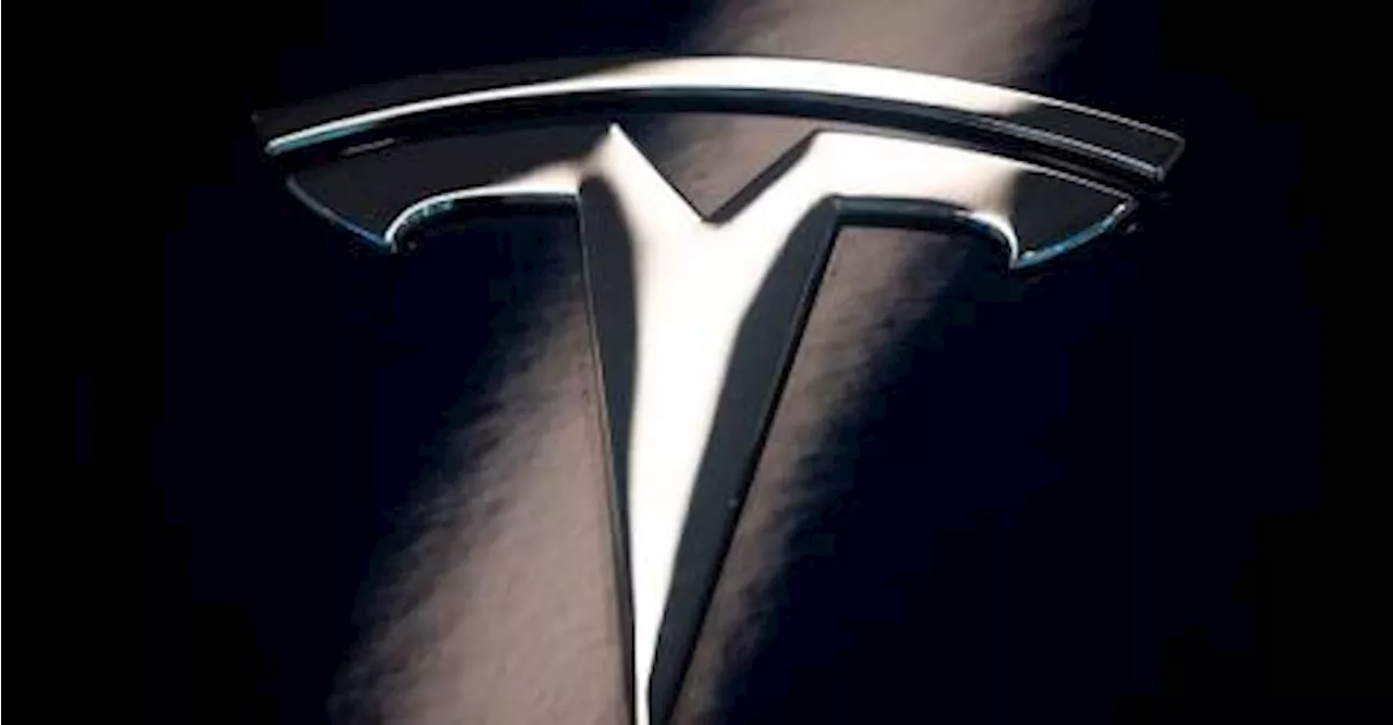 Tesla using components from local suppliers, involved in technology transfer