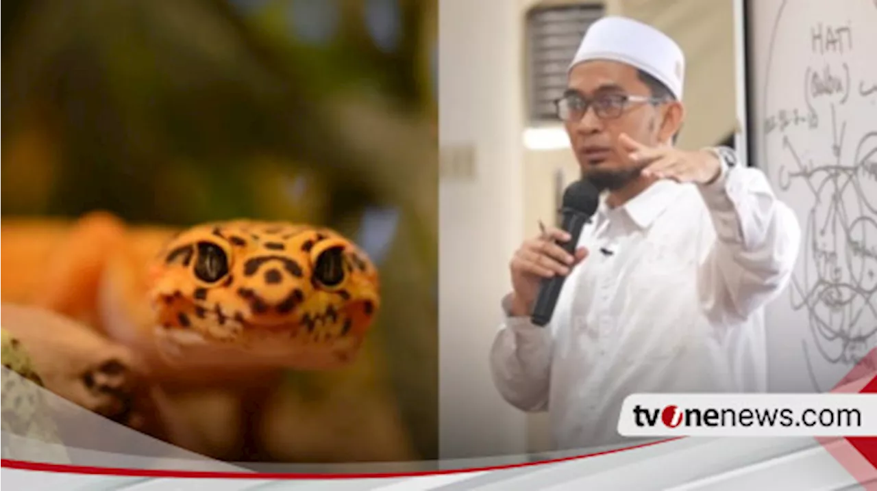 Kalau Cicak Selalu Muncul dalam Rumah Tolong Perbanyak Istighfar, Penyebabnya Kata Ustaz Adi Hidayat Ada Tanda...