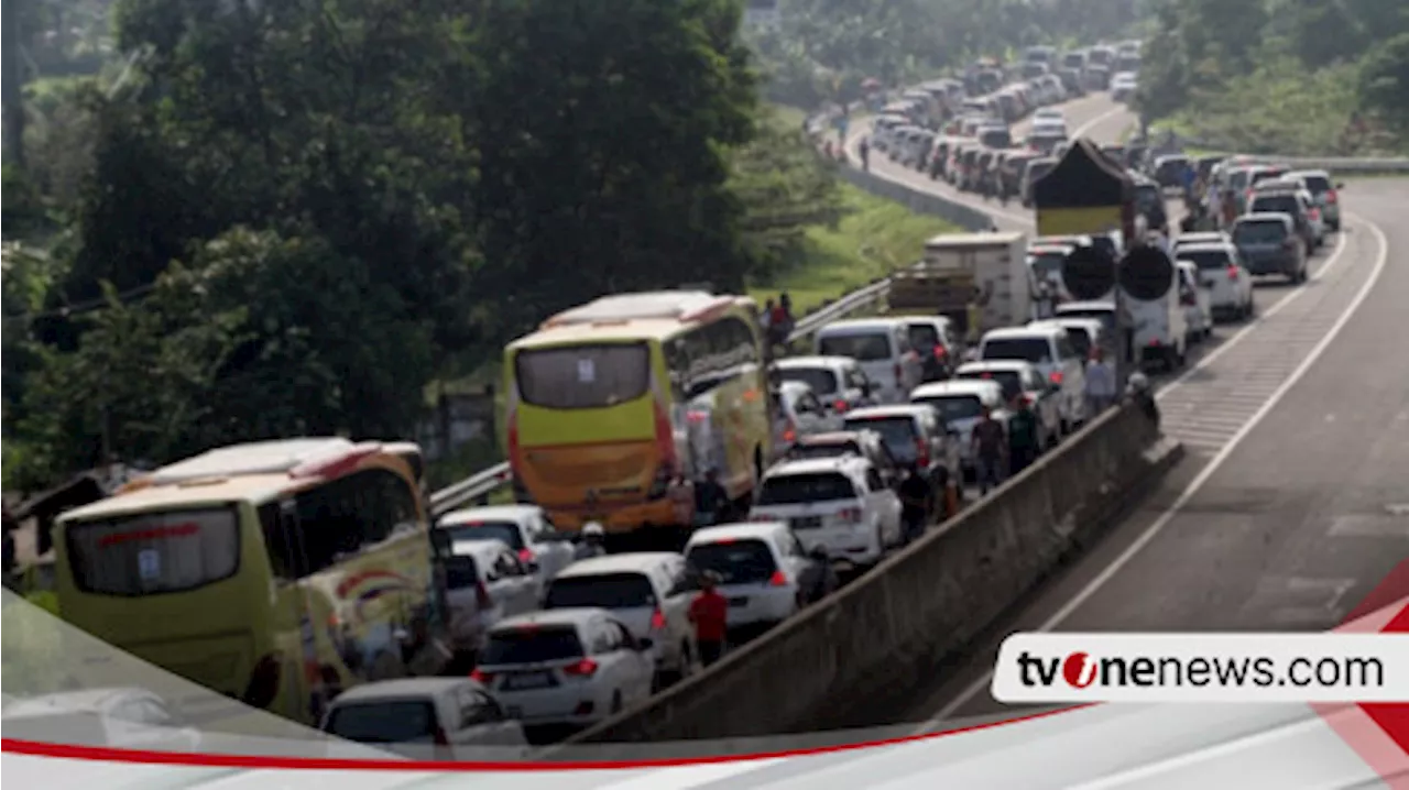 Siap-Siap, Pemerintah Siapkan Bus Gratis untuk Wisatawan di Puncak Saat Libur Nataru