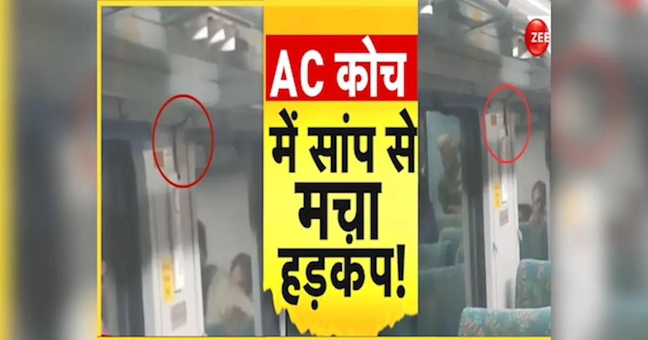 Janshatabdi Express: रेल के AC कोच में बैठे थे नाग देवता, यात्रियों में मच गया हड़कंप; जानिए फिर क्या हुआ?