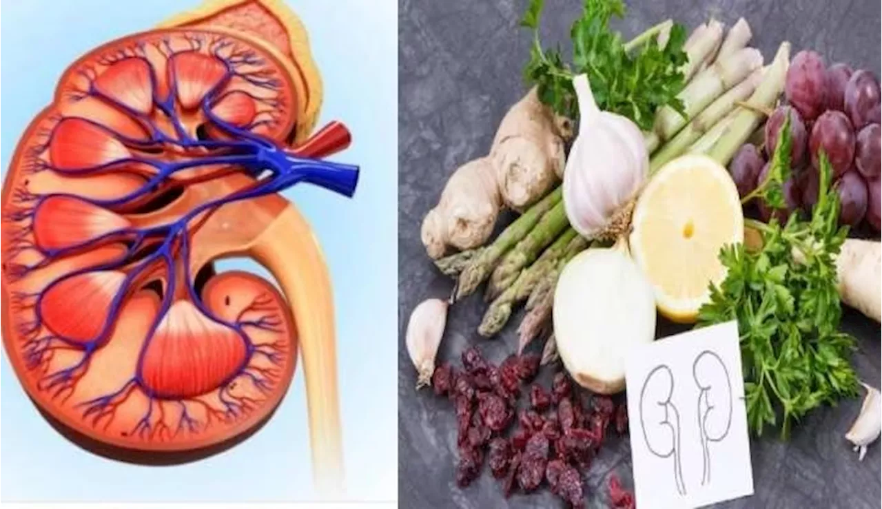 Kidney Superfoods: కిడ్నీ వ్యాధులకు చెక్ చెప్పే 4 వెజిటేరియన్ సూపర్ ఫుడ్స్ ఇవే