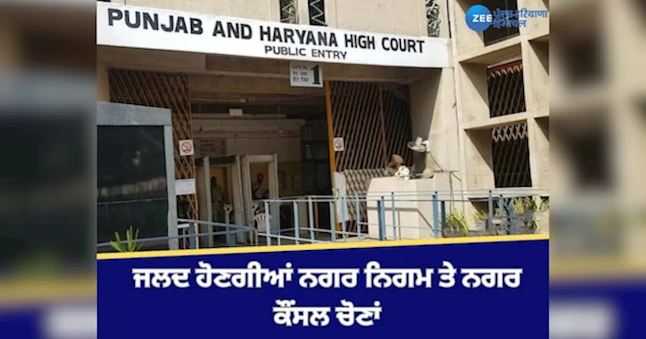 Punjab MC Elections: ਨਗਰ ਨਿਗਮ ਤੇ ਨਗਰ ਕੌਂਸਲ ਚੋਣਾਂ ਦੀਆਂ ਤਾਰੀਖ ਨੂੰ ਲੈ ਕੇ HC ਚ ਪੰਜਾਬ ਸਰਕਾਰ ਨੇ ਦਿੱਤੀ ਜਾਣਕਾਰੀ